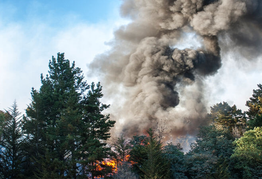 Adjusters International Wildfire Claim