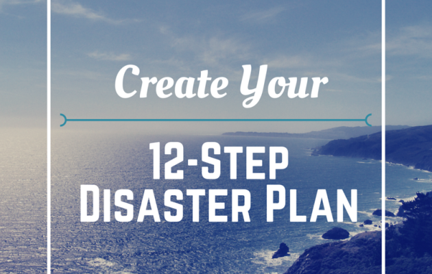 12 Step Disaster Plan 3