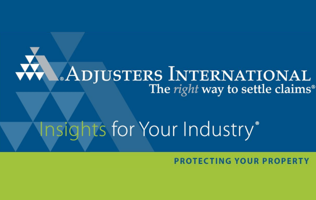 AI Ltd logo Insights logo v2