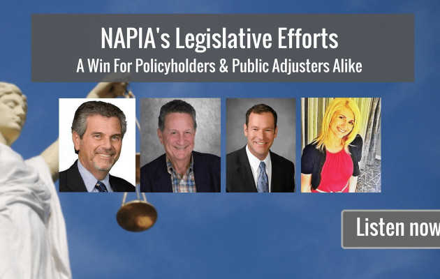 NAPIA Legislative Efforts Podcast SM v3