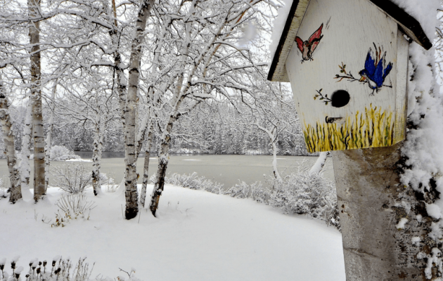 Winter Storm Insurance Claim Snow