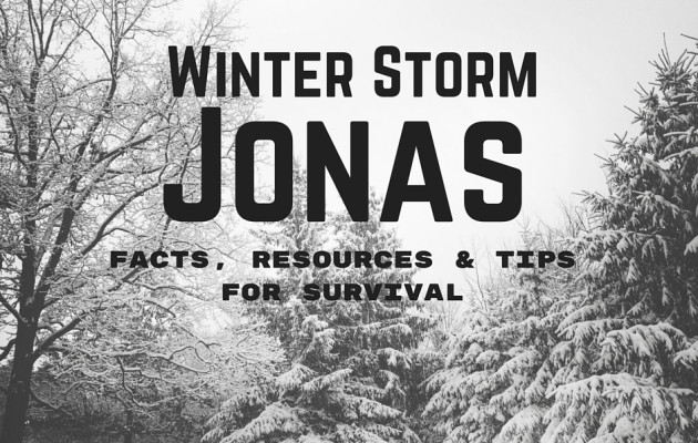 Winter Storm Jonas Facts