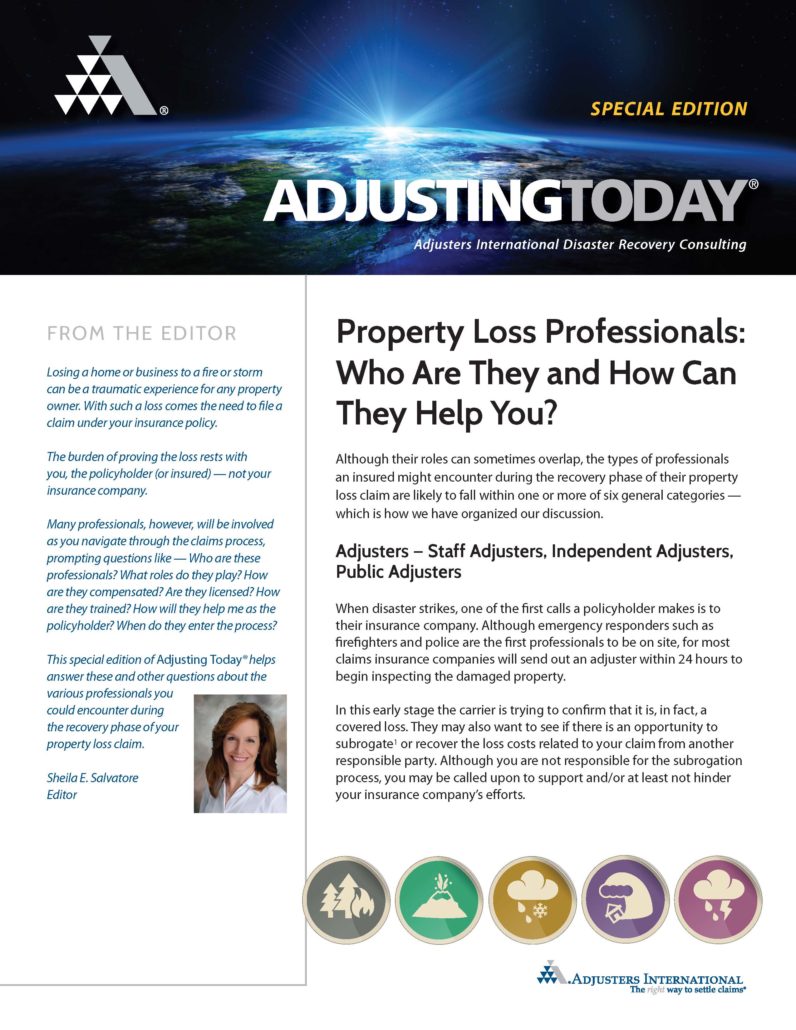 Property Loss Professionals Who Are They and How Can They Help You